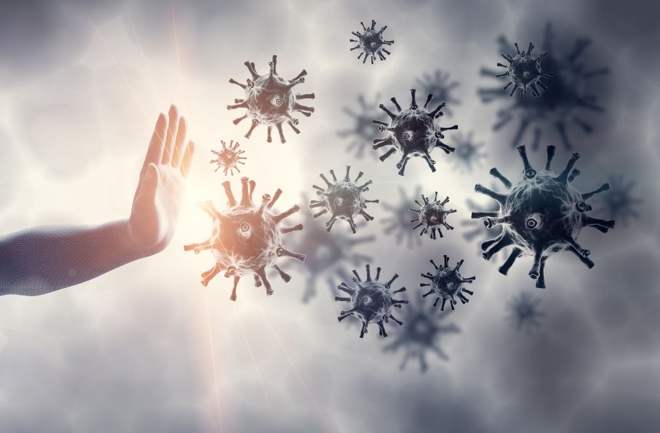 Le interazioni del sistema immunitario conservate tra le specie possono trasformare il controllo delle infezioni microbiche