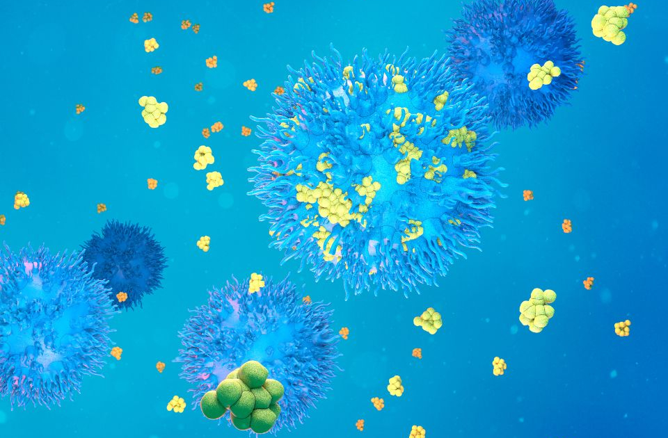 “Ci vogliono due per ballare” – La ricerca di base rivela la danza molecolare dell’attivazione delle cellule gamma delta