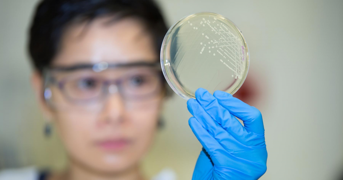 Lancet global burden of antimicrobial resistance analysis highlights