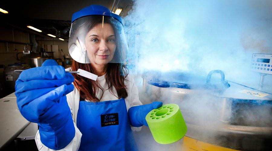 Professor Katherine Kedzierska working in the cryofreeze storage room
