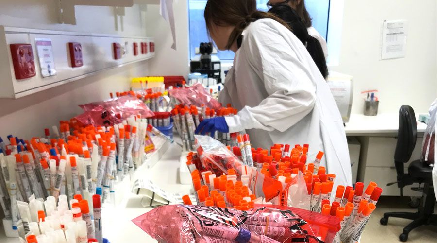 COVID-19 swab test samples at VIDRL