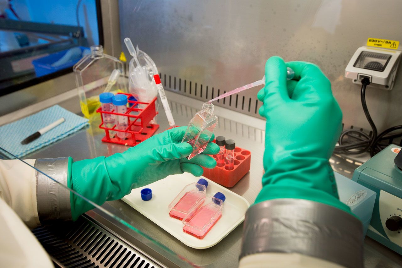 Cell culture