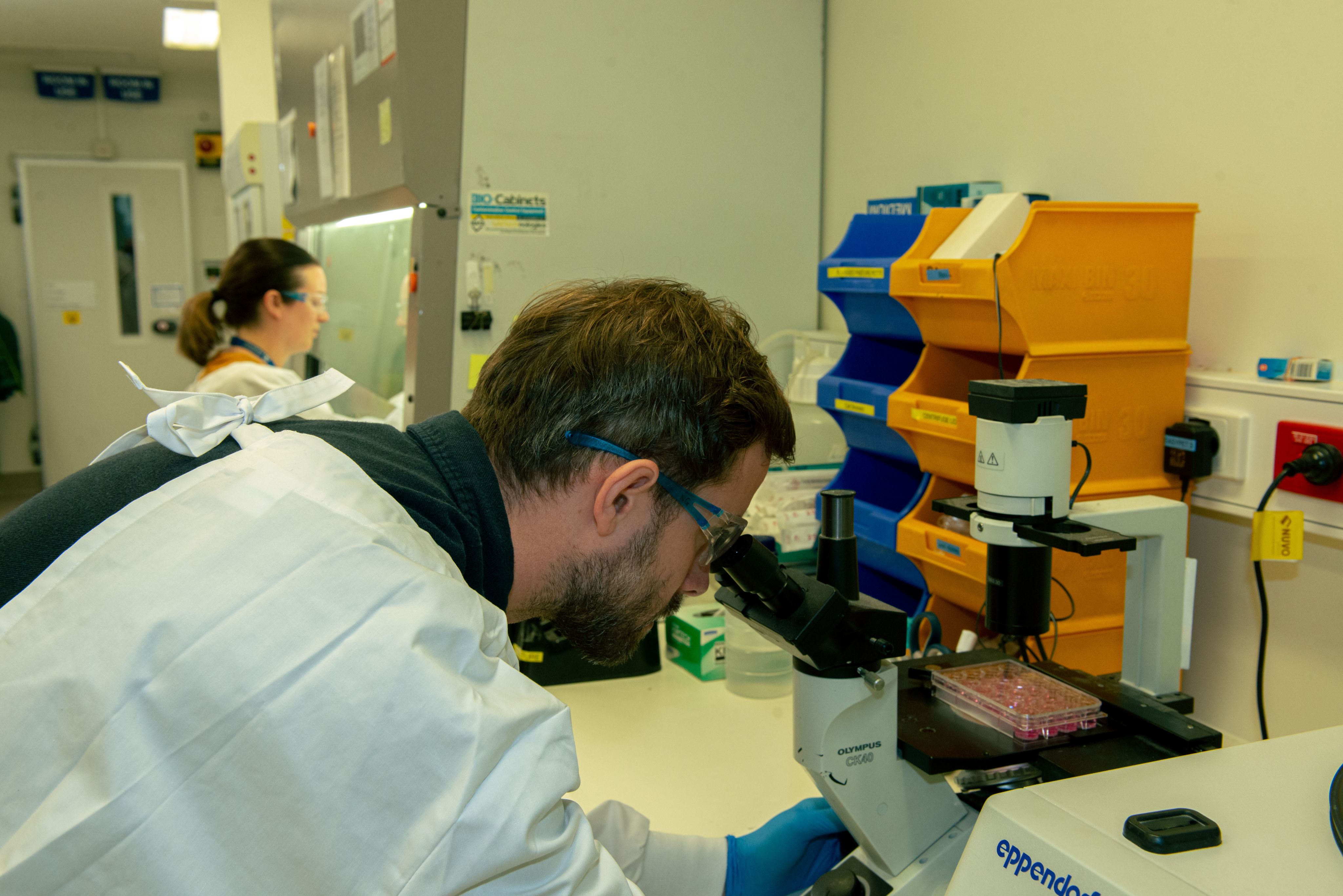 Man using microscope