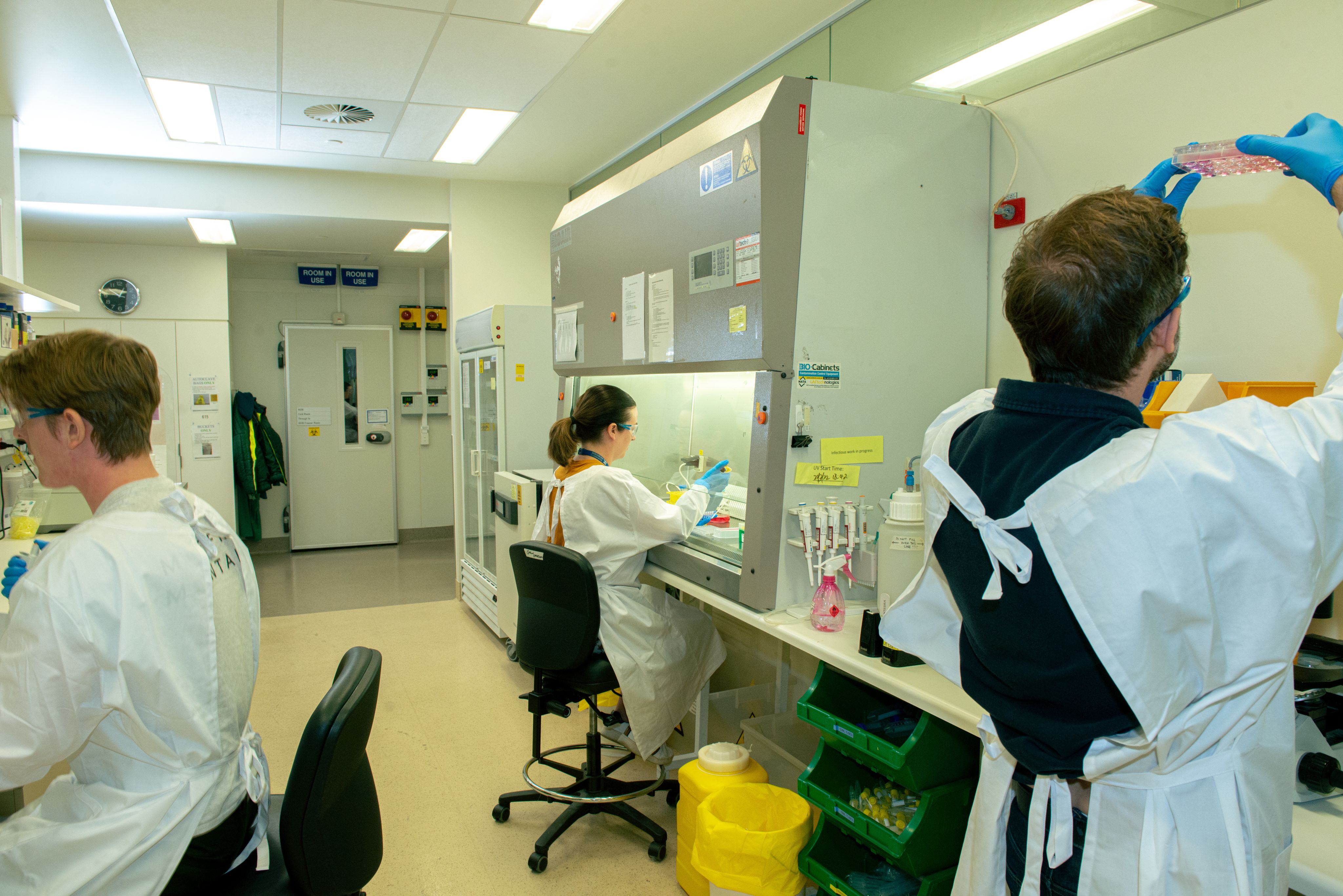 People working in lab