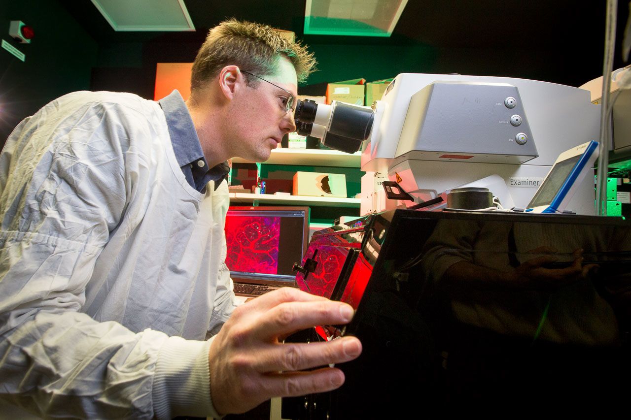 Professor Scott Mueller using microscope