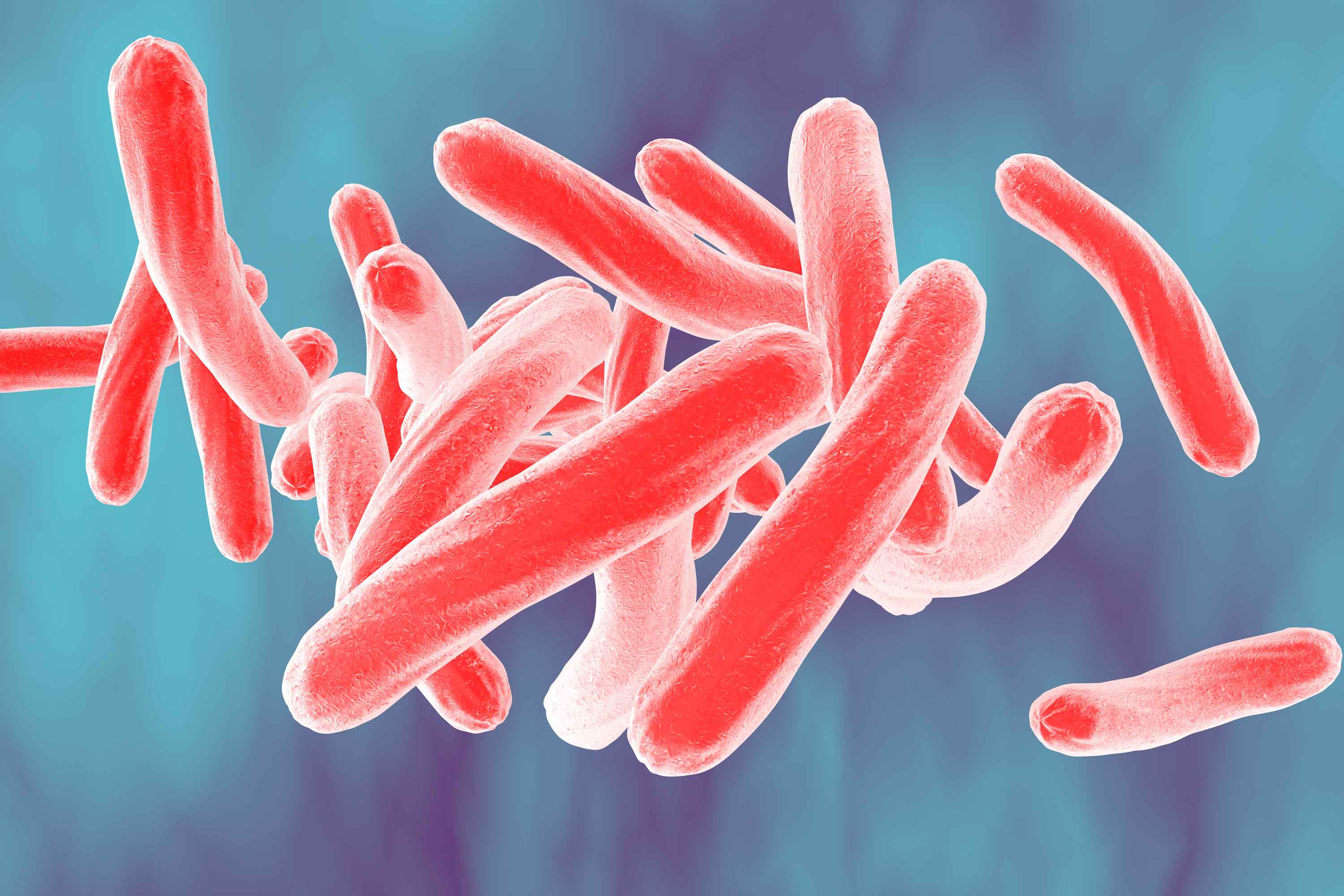 Mycobacterium tuberculosis (Mtb)3D render