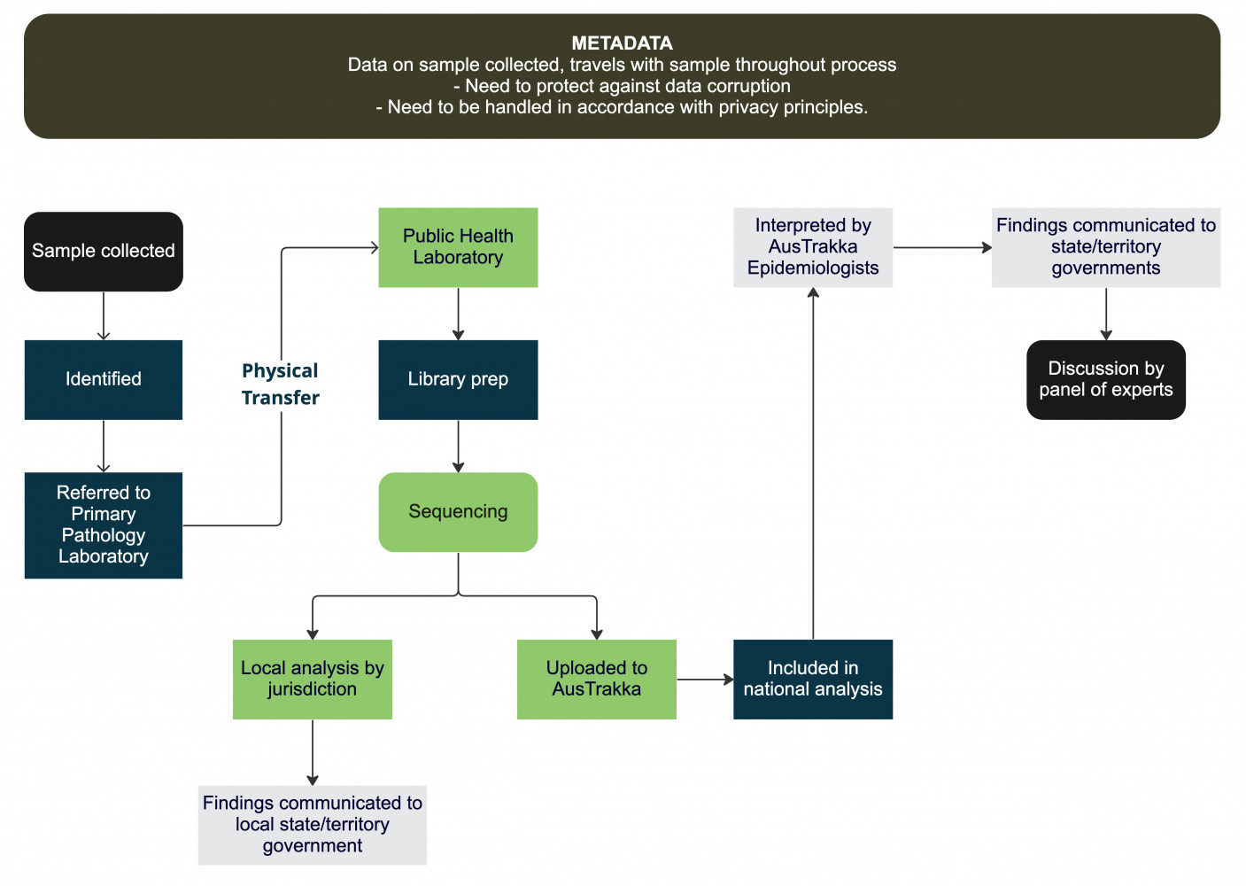 Sample collection and analysis process