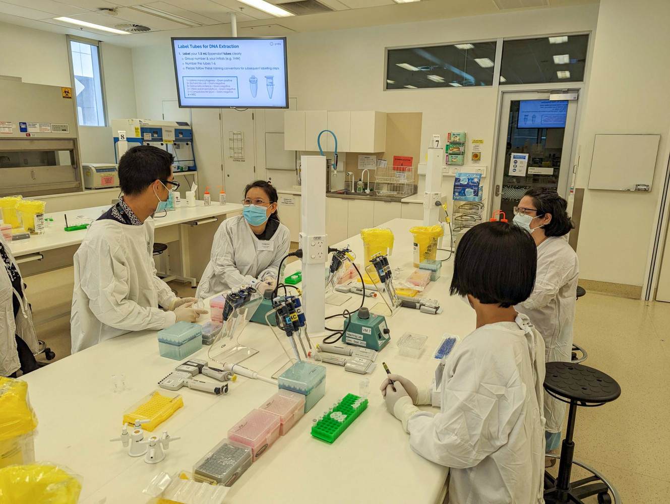 Attendees undertaking wet lab training in the laboratory
