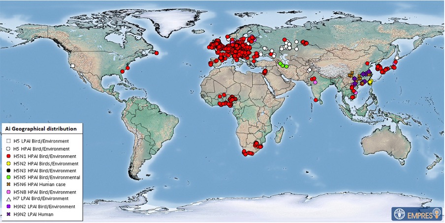 Global distribution of AIV observed from 1 October 2020-23 January 2022. Map from the FAO (Food and Agriculture Organisation of the United Nations) Emergency Prevention System (EMPRES) Global AIV with Zoonotic Potential situation updated (26 Jan 2022)