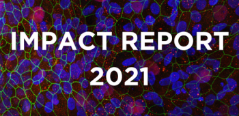 Impact Report 2021