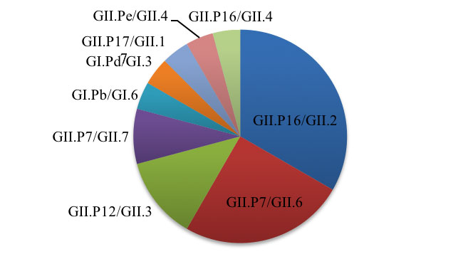 Figure 2: ORF1/ORF2 norovirus genotypes from outbreaks Jan-Apr 2018 (n=24)