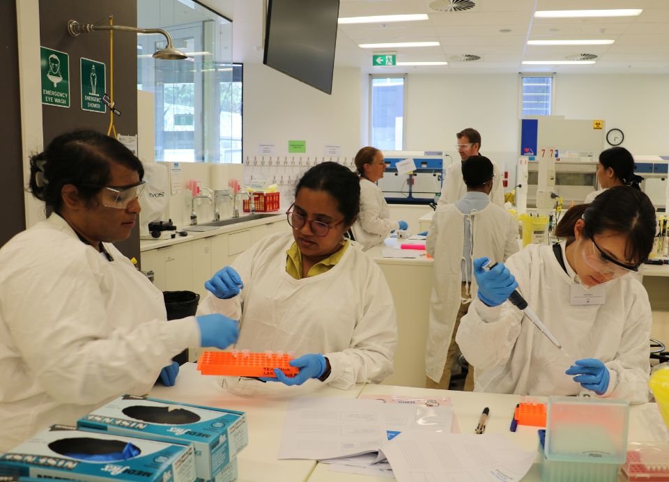 Trainees during the wet-lab portion of the training program
