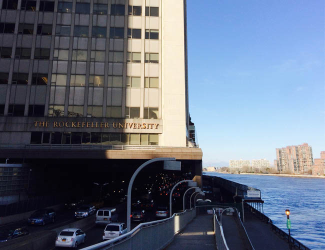 Rockefeller University overlooking the East River.