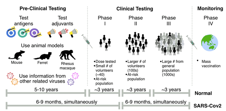 We’re moving through the vaccine pipeline quickly to develop a vaccine for COVID-19. Author provided