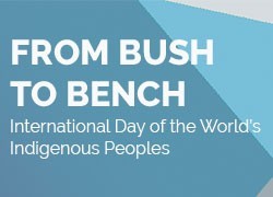 From Bush to Bench