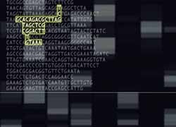 Modernising measles surveillance