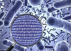 Targeted metagenomics for large-scale virus sequencing: robust, efficient, unbiased and cost-effective.