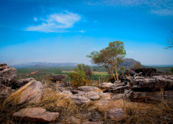 New funding supports community-led health program in Arnhem Land