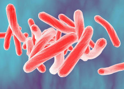 Unlocking our understanding of latent TB