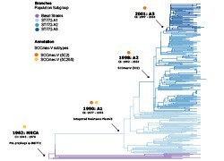 Crossing borders and growing resistance: a superbug from south Asia