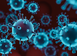 What maths can tell us about the spread of the new coronavirus