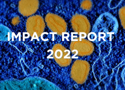 Doherty Institute launches its 2022 Impact Report