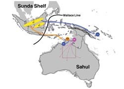 Hepatitis B virus sheds light on ancient human population movements into Australia