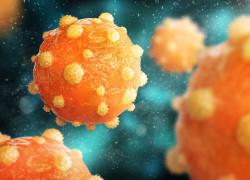 New investment takes Hepatitis B research one step closer to finding a cure