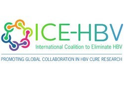 Global efforts to eliminate hepatitis B boosted