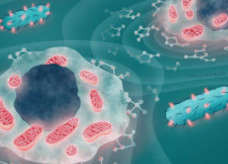 Researchers discover how deadly, antibiotic resistant pathogen evades the immune system, laying the groundwork for better therapeutics to combat infection