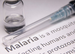 Scientific breakthrough harnesses mRNA technology to develop powerful malaria vaccine