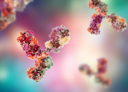 Setting it Straight: The monoclonal antibody story 1: In the beginning, there were myelomas