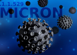 Why are there so many new Omicron sub-variants, like BA.4 and BA.5? Will I be reinfected? Is the virus mutating faster?