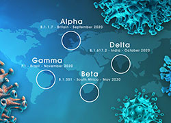 Setting it Straight: Virus variants, the different dynamics