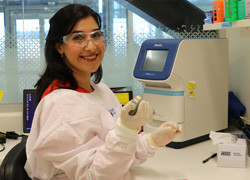 One step closer to understanding cancer-fighting immune cells