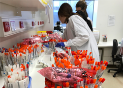 ‘It’s been intense’: Processing 100,000 COVID-19 tests