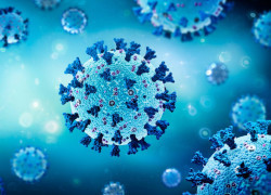 Pathogen genomics to enhance global health preparedness and response