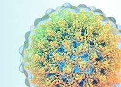 Finding a cure for hepatitis B: are we near?