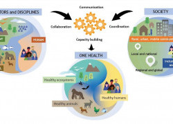 Unified definition of One Health adopted by global animal, environment and health organisations