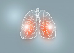Unlocking the secrets of our immune system: T cells in the lungs