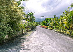 Measles in Samoa: how a small island nation found itself in the grips of an outbreak disaster