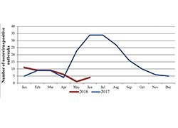 Norovirus surveillance report for Victoria: January - June 2018