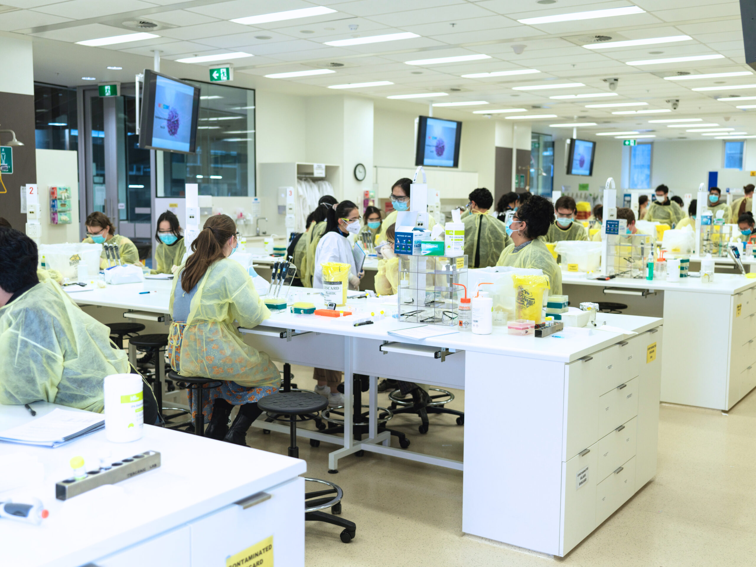 Group of students working in the practical laboratory at the Doherty Institute