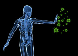 A strong immune system helps ward off colds and flus, but it’s not the ...