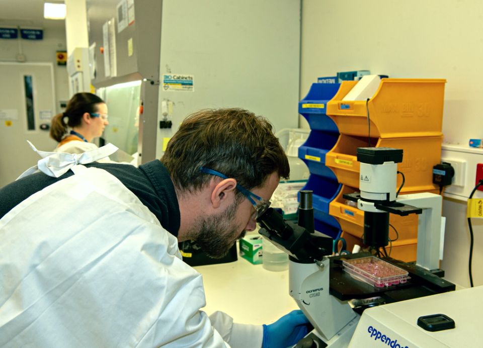 Embracing emerging talent - Doherty Institute