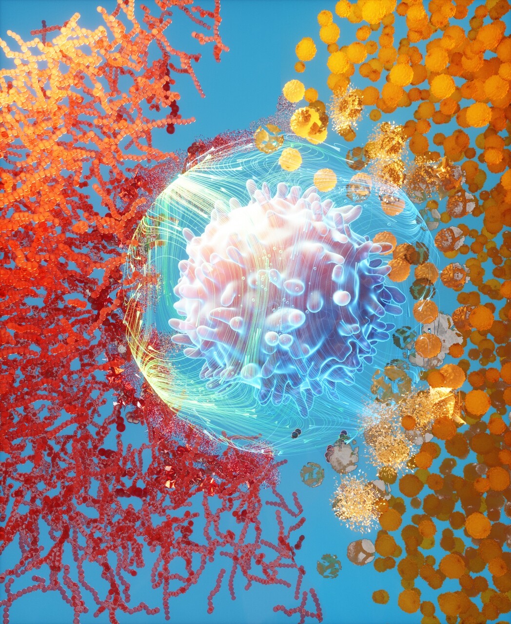 3D render of T cell fighting off two species of bacteria.